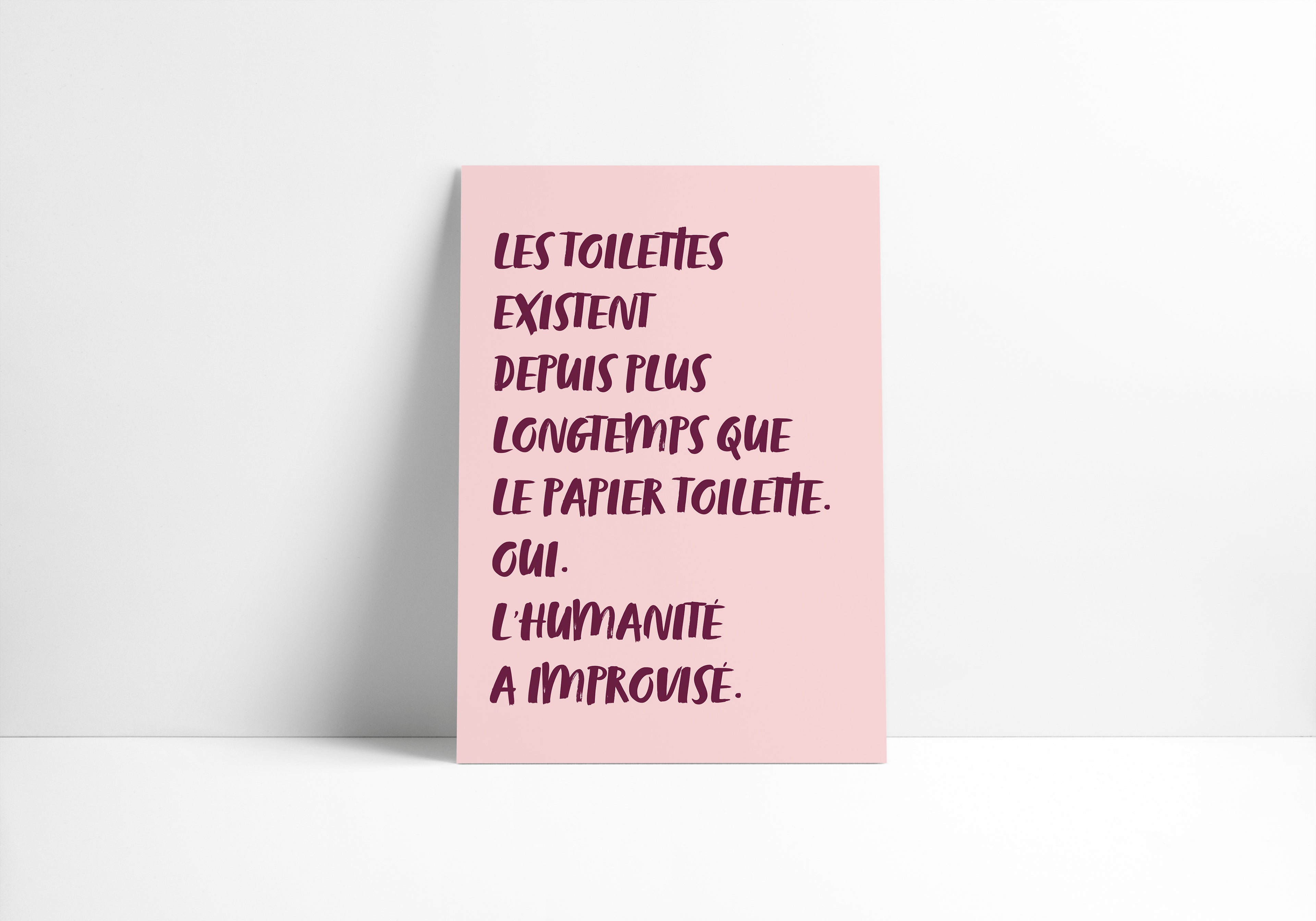"Les toilettes existent depuis plus longtemps que le papier toilette. Oui. L'humanité a improvisé."